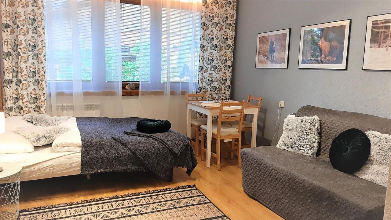 Studio Mila I Nido W Centrum Apartzakop 자코파네 외부 사진